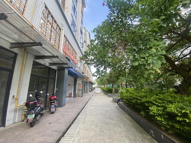广西百亩房地产营销策划