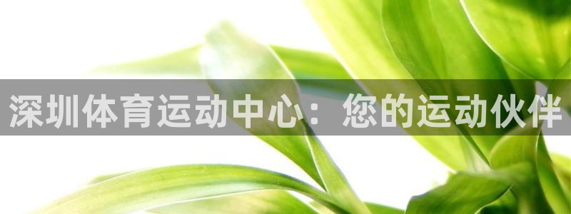 谈球吧体育：深圳体育运动中心：您的运动伙伴